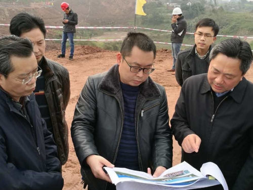 丁湘副市长调研长江生态湿地公园建设