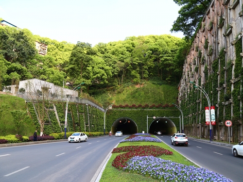 重庆忠山隧道绿化工程