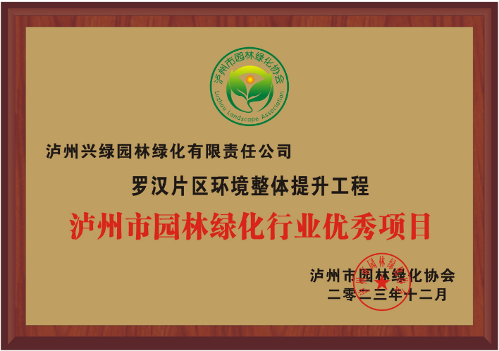罗汉片区环境整体提升工程优秀项目.png