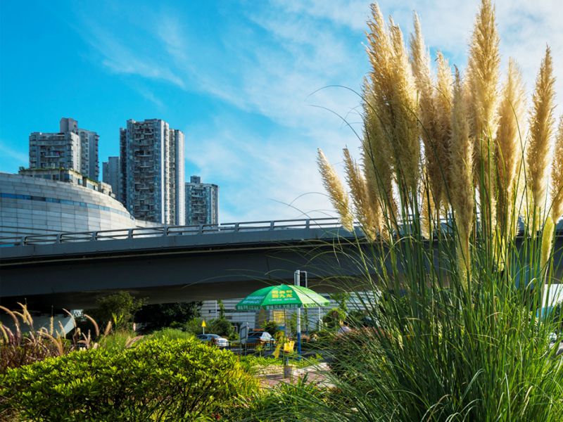 沱江二桥加宽改造工程附属景观建设项目