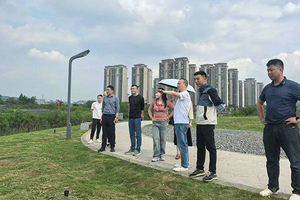 兴绿园林公司开展“五一”节前安全生产综合督导检查