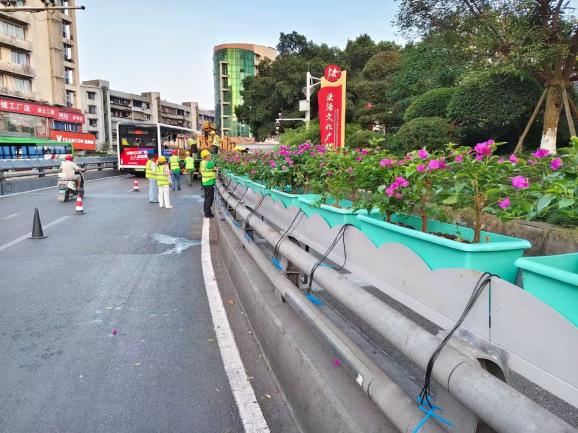 花映两桥·绿满酒城—兴绿园林公司实施沱江一桥、连心桥景观升级工程   