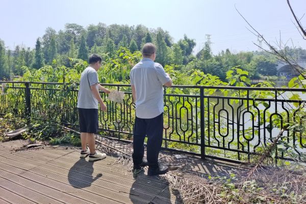 生态公司开展先锋公园安全巡查暨汛期专项隐患排查工作