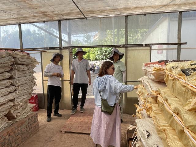 泸州城投花木公司与北京花木公司专家团队开展技术交流