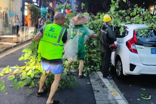 兴绿园林全力保障极端天气后城市道路通畅
